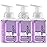 Valentines Foaming Hand Soap, 3 Pack, Moisturizing Hand Soap with Aloe Vera & Essential Oils, Alcohol-Free Hand Wash in Lavender Jasmine Scent, Scented Hand Wash for Kitchen, Bathroom - Free Bracelet