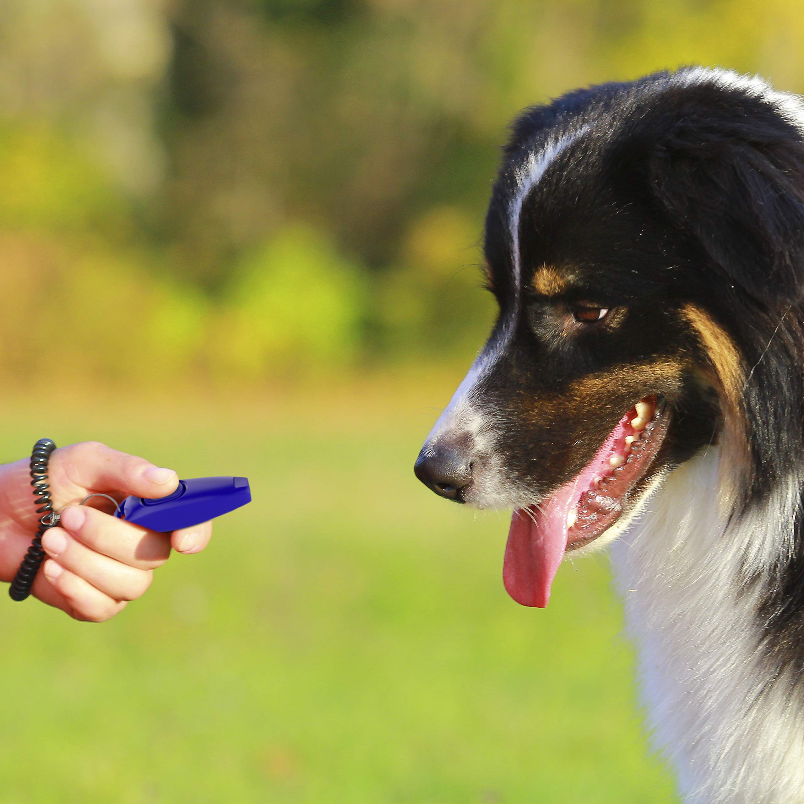 TruePets® - Clicker per cani 2 in 1, con fischietto per cani, ideale per l'educazione del cane, clicker Doog - clicker Doog - clicker gatto - clicker training gatto, fischietto per gatto/cani (blu)