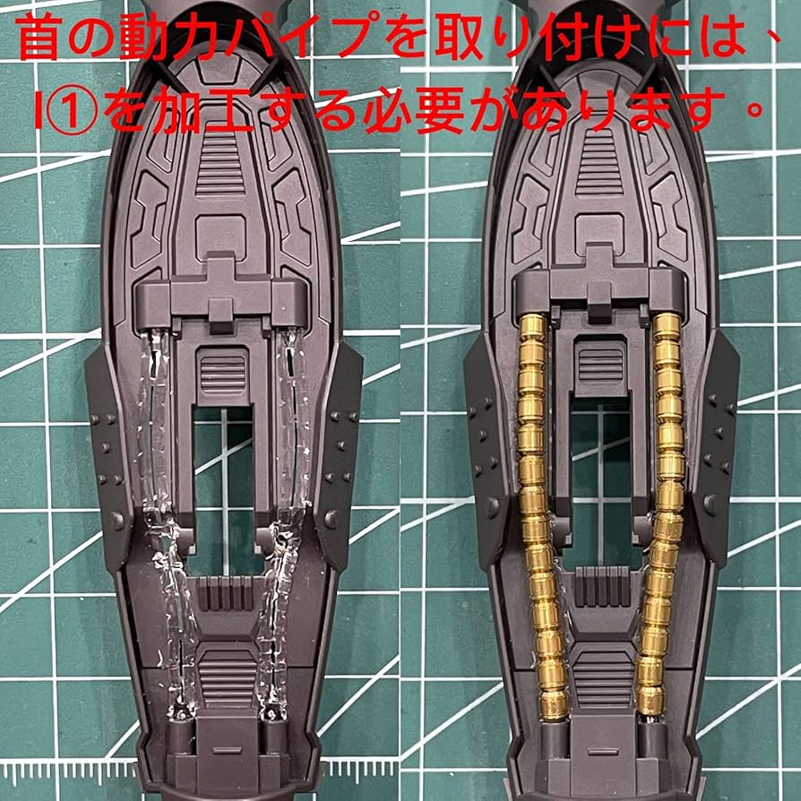ナイチンゲール 確認 81DRh-CI6ML._UF894,1000_QL80_.jpg