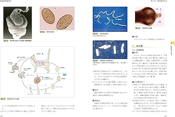 愛玩動物看護師の教科書 第3巻 | 緑書房編集部 |本 | 通販 | Amazon