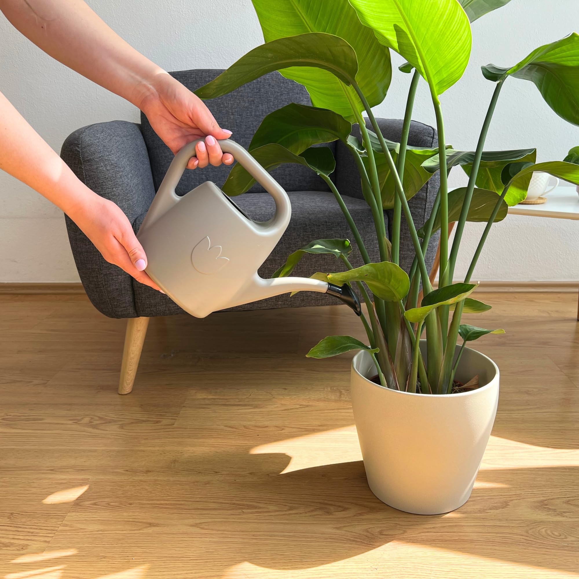 Watering Can Eva 2 Litres - Small Watering Can for Indoor and Outdoor Plants - Plastic House Plant Water Can, Taupe - Image 2