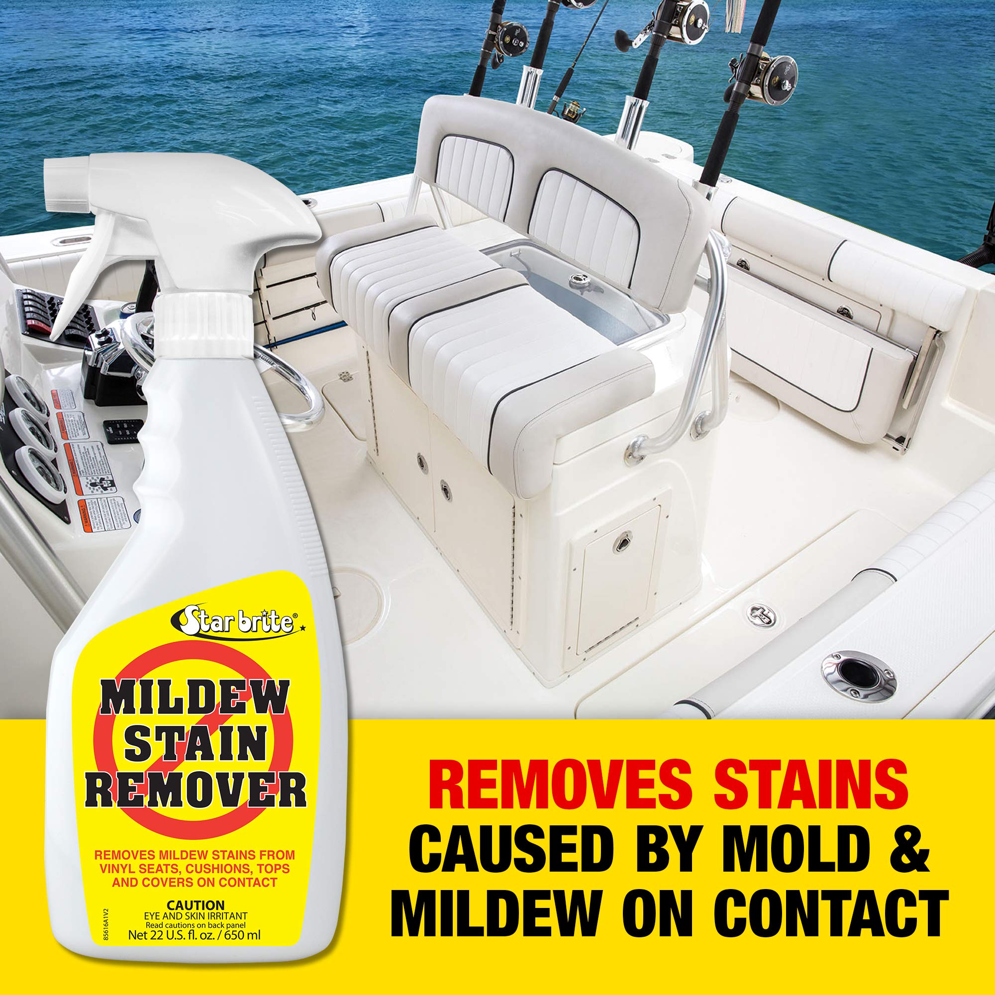 STAR BRITE Mildew Stain Remover (22-Ounce)