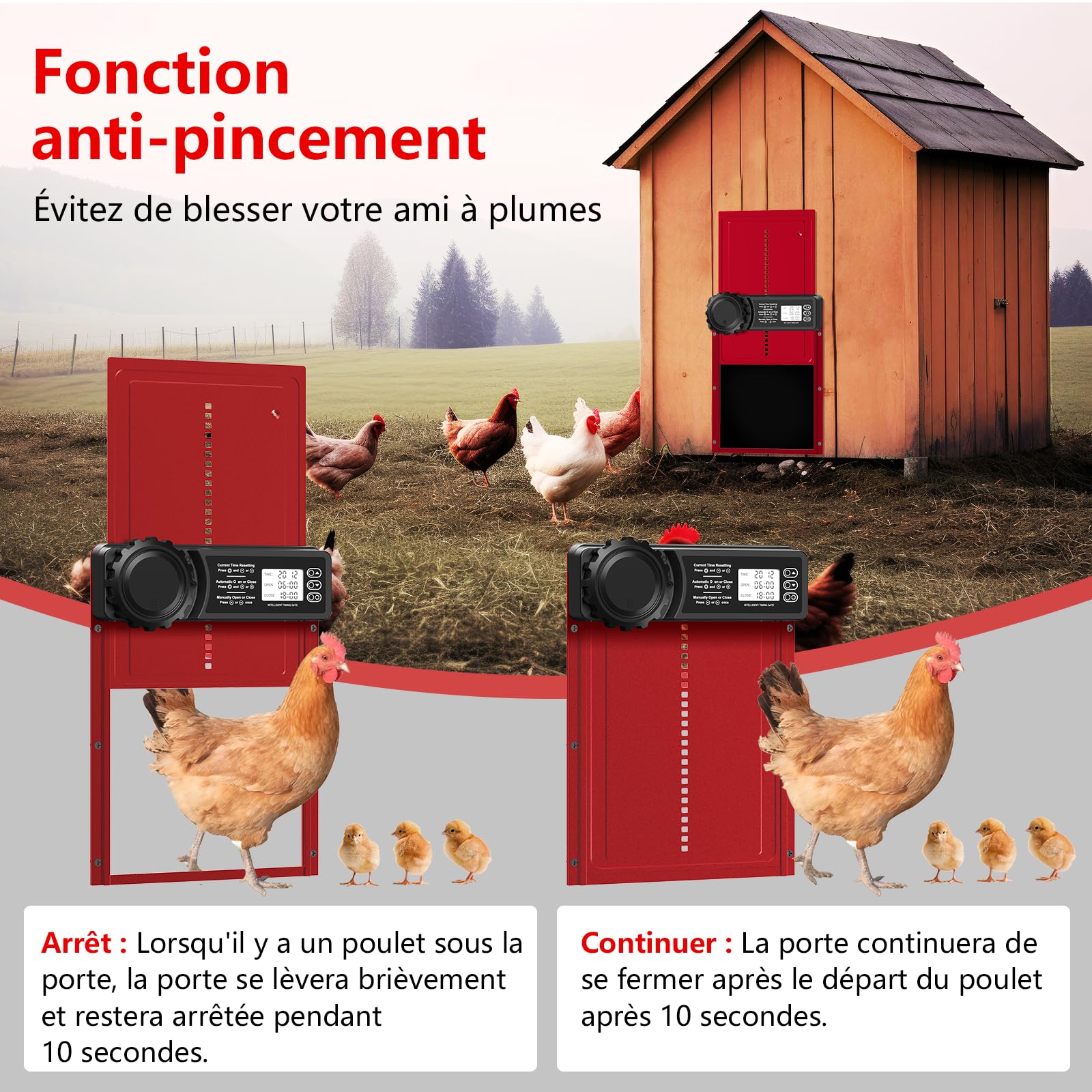 Porta Pollaio Automatico Batteria con Timer | Porta Automatica Pollaio in Alluminio con Display LCD Programmabile Impermeabile, Funzione Anti-pizzico, Apriporta Verticale