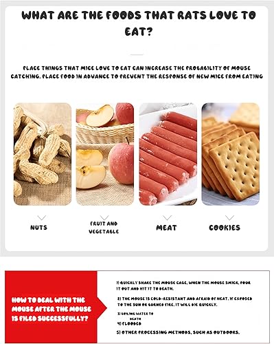 Miniatura 8 de Trampa automática para ratones, jaula humana para ratas, trampa reutilizable para roedores para ratones, ratas, ardillas, segura y eficaz para