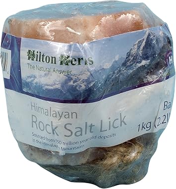 Hilton Herbs 26000 Himalayan Salt Lick, Baby 2.2lb