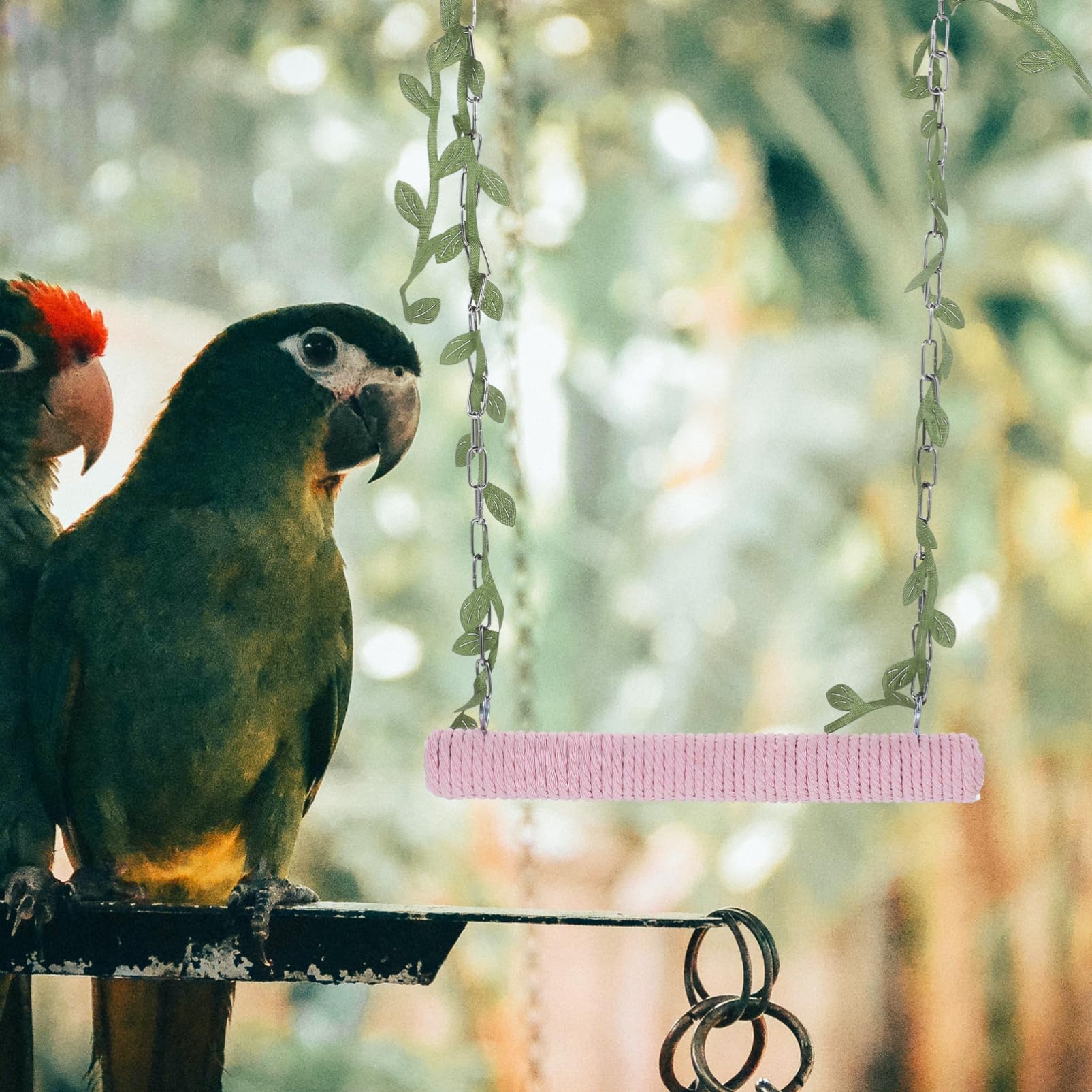BESPORTBLE 5pezzi Altalena Per Uccelli Legno Con Corda Giocattolo Decorativo Per Pappagalli e Parakeet Accessorio Per Uccelli Domestici Facile Da Installare e Utilizzare Stimolante e