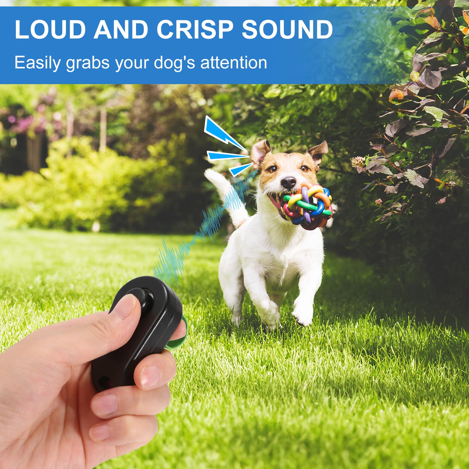 BARKIE Hundetrainings-Clicker mit Fingerring, 2 Stück, Welpenzubehör für Verhaltenstraining, tragbares Haustierzubehör für Spaziergänge mit dem Hund (Schwarz und Weiß)
