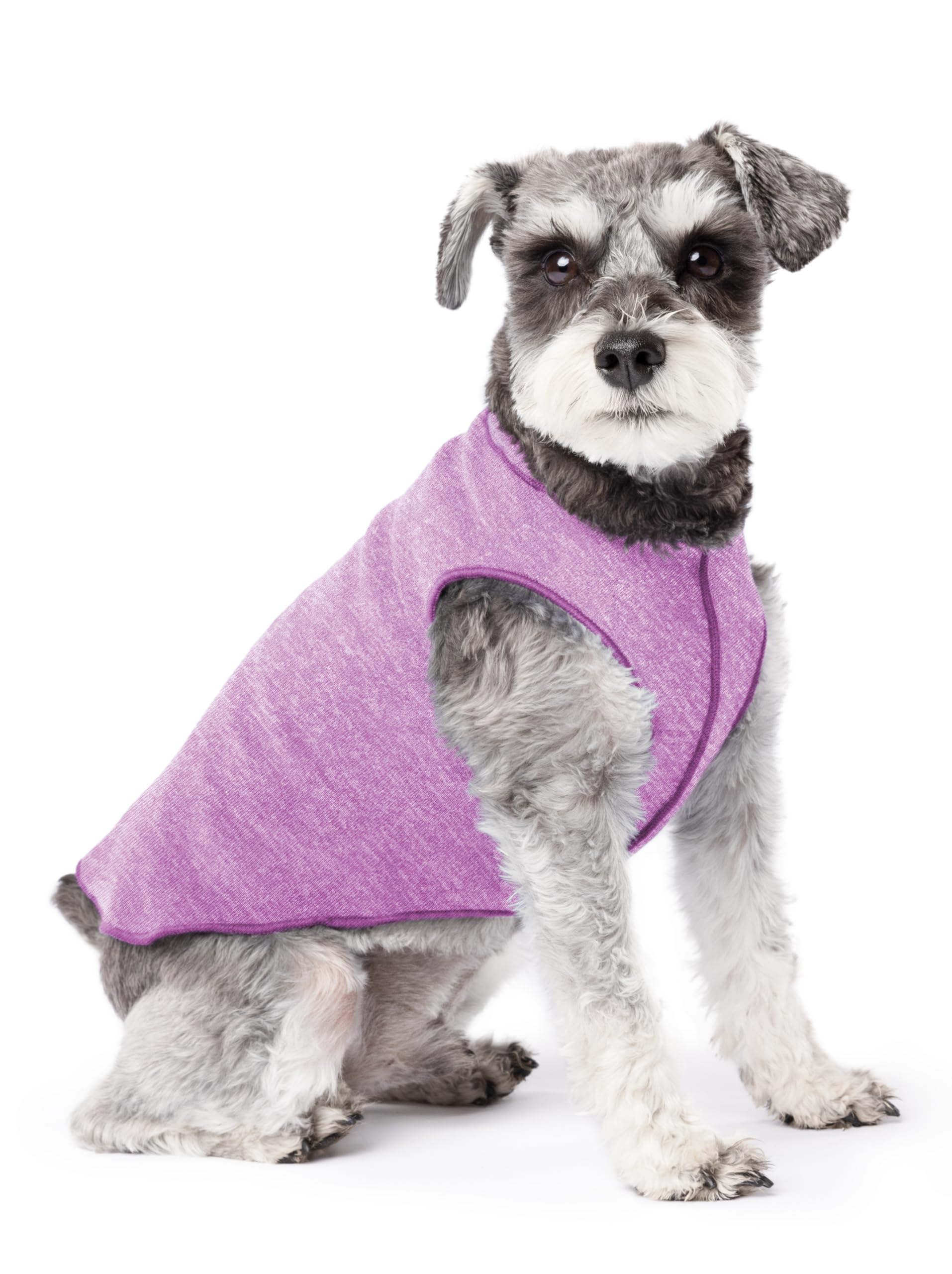 Goldpaw Dog Sun Shirt with UV Protection - Lightweight, Cooling Sun Protection Clothing for Small Dogs - Reduce Heat Absorption - Made in The USA -