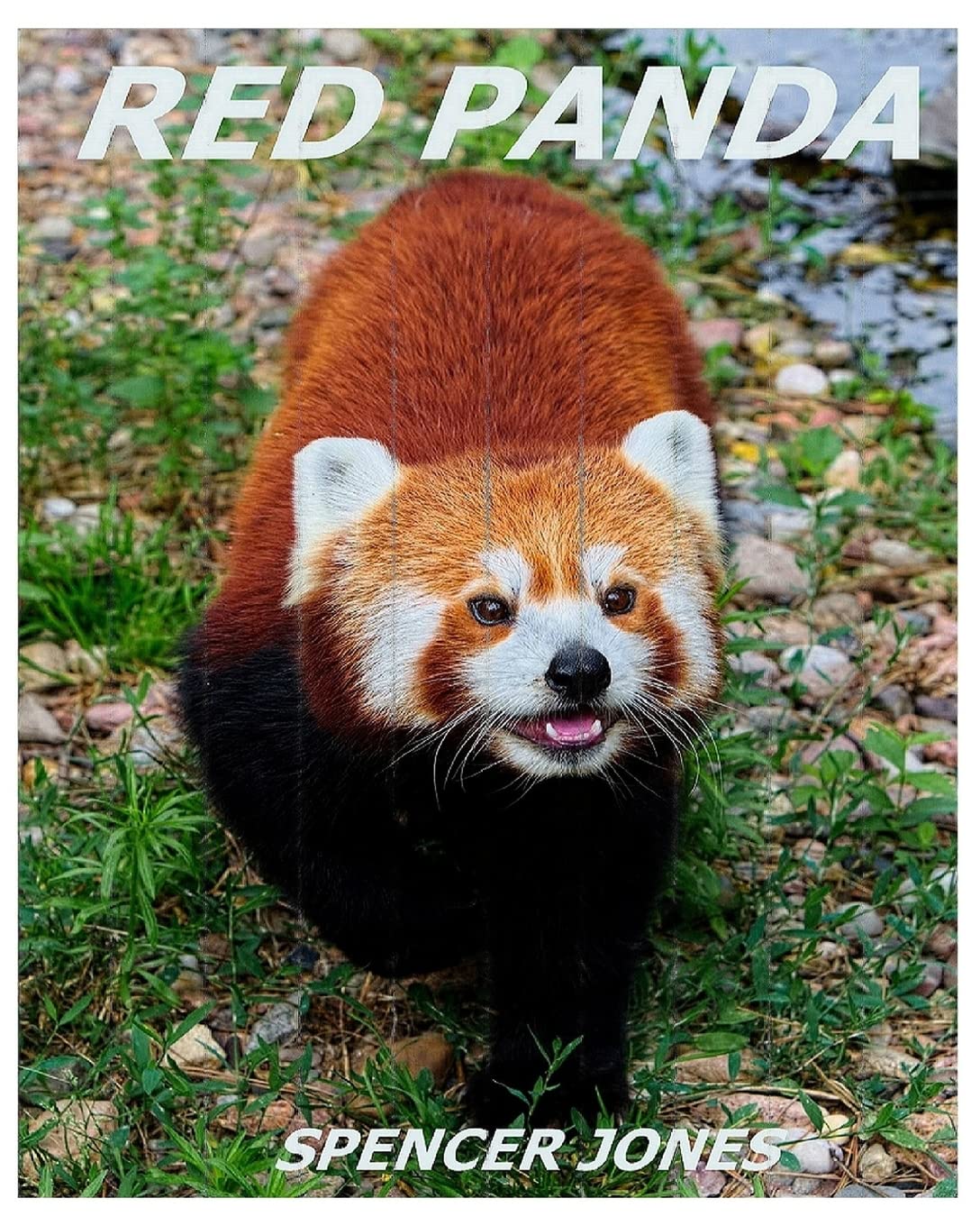 Red Panda: Learn About Red Pandas-Amazing Pictures & Fun Facts: Volume 3 (Amazing Nature Childrens Books)