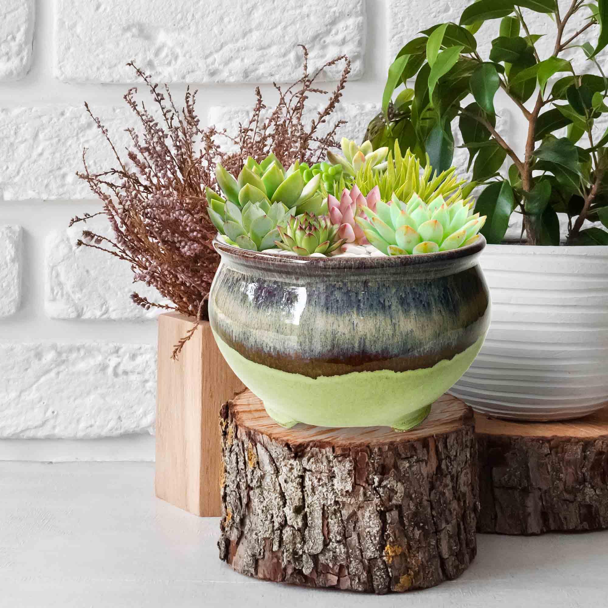 Amazon.com : Casktcom Unique 6.3 Inch Glazed Ceramic Shallow