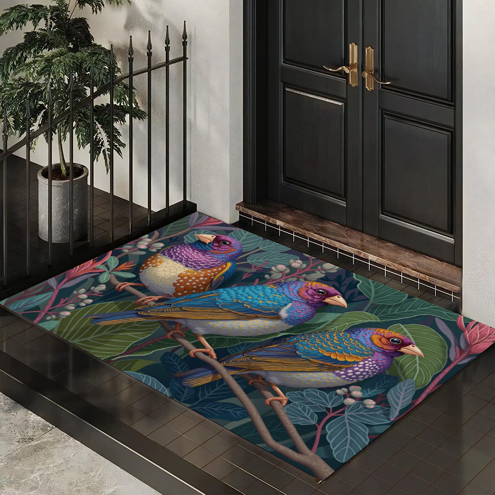 Microfibre absorbante tapis entrées extérieur et intérieur 60x90