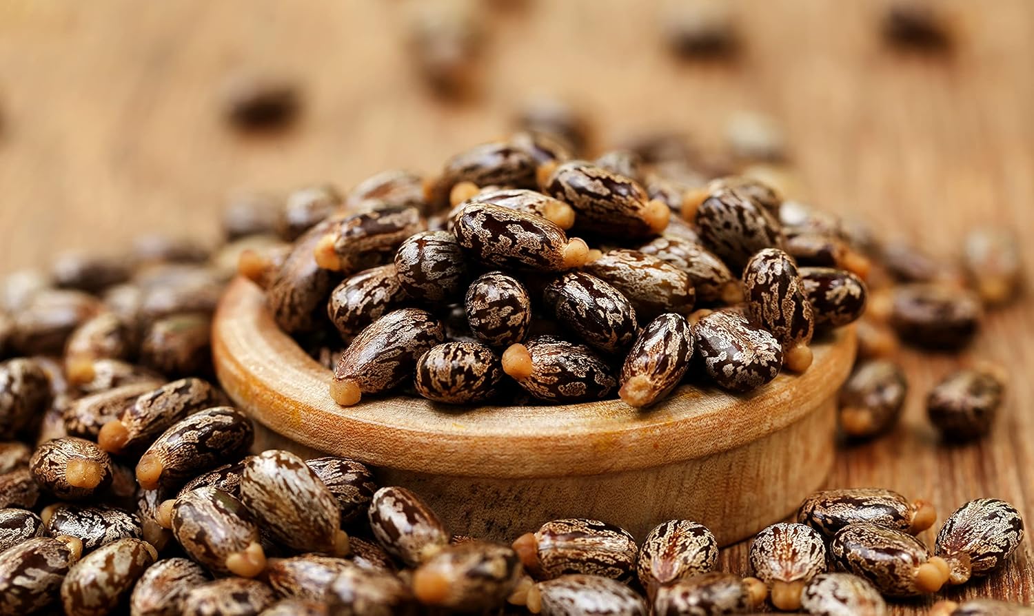 Castor Oil - Pure Refined Natural Cold Pressed Vegan Non GMO Bulk 128 oz - 1 Gallon - Bulk Wholesale Castor Oil for Hair Nails Eyelashes Eyebrows Beard Mustache - Organic Pure Oil