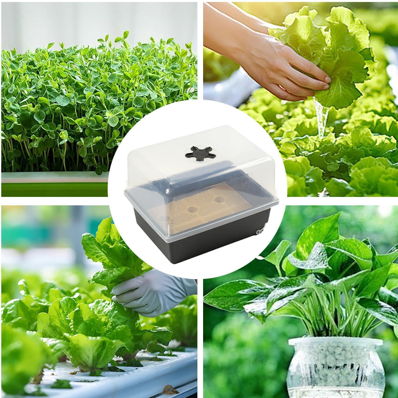 Kit per Germinazione Semi Vassoio Coltivazione Piante Riutilizzabile