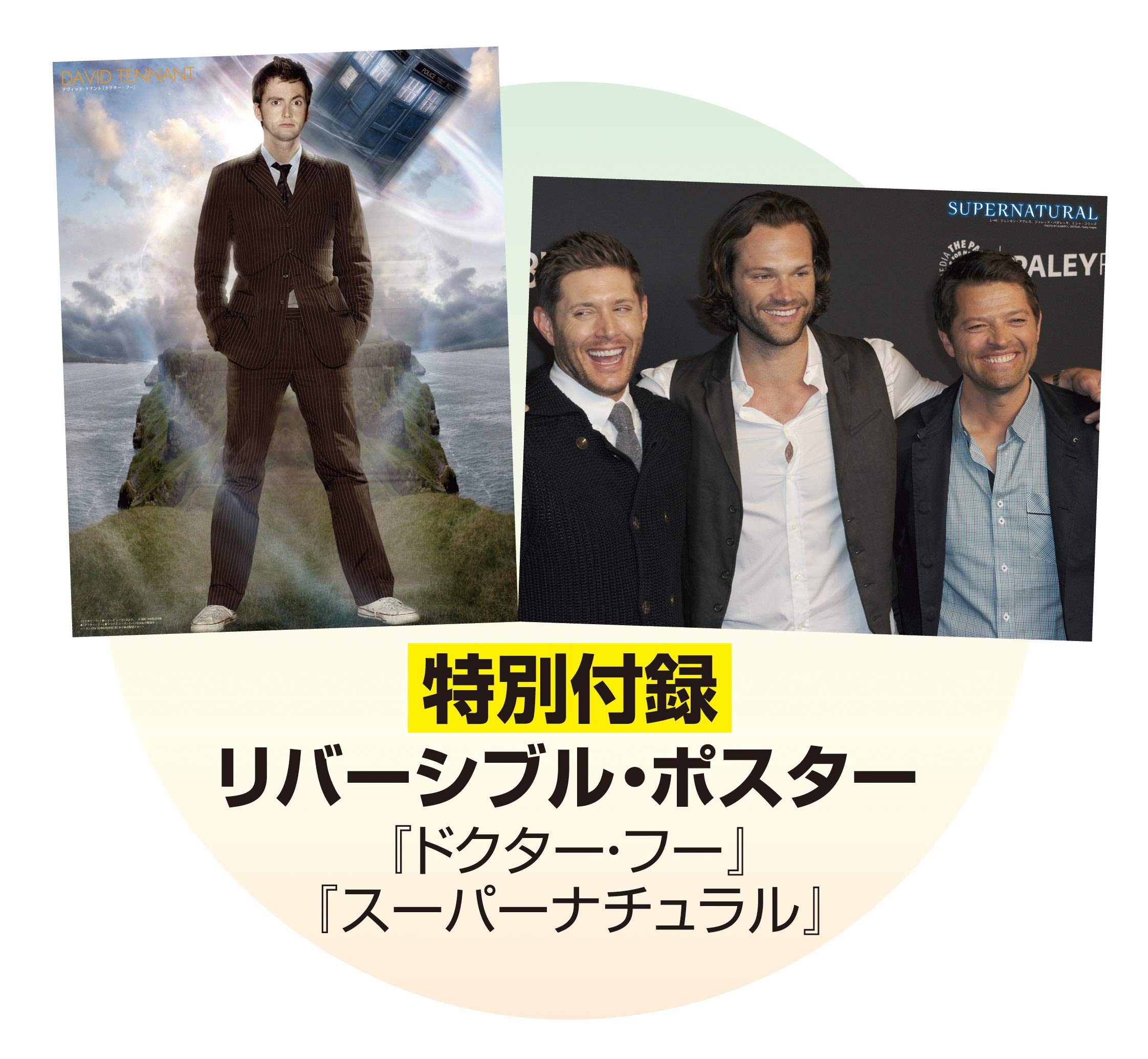 ムービー スター 年 08 月号 本 通販 Amazon