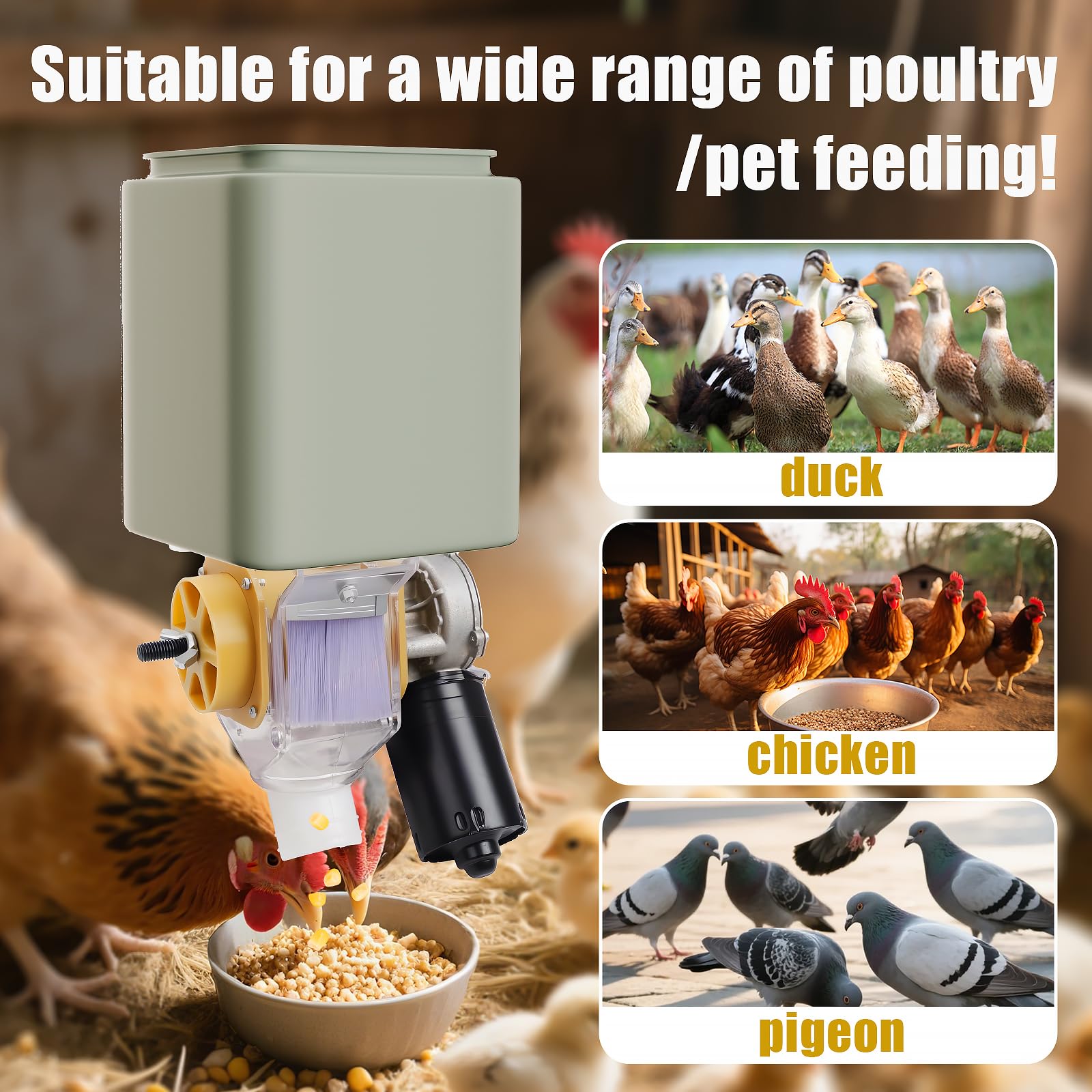 Mangeoire automatique à monter soi-même, 16 groupes d'alimentation automatique pour poulets, canards, oies, pigeons, chiens, poissons, chats
