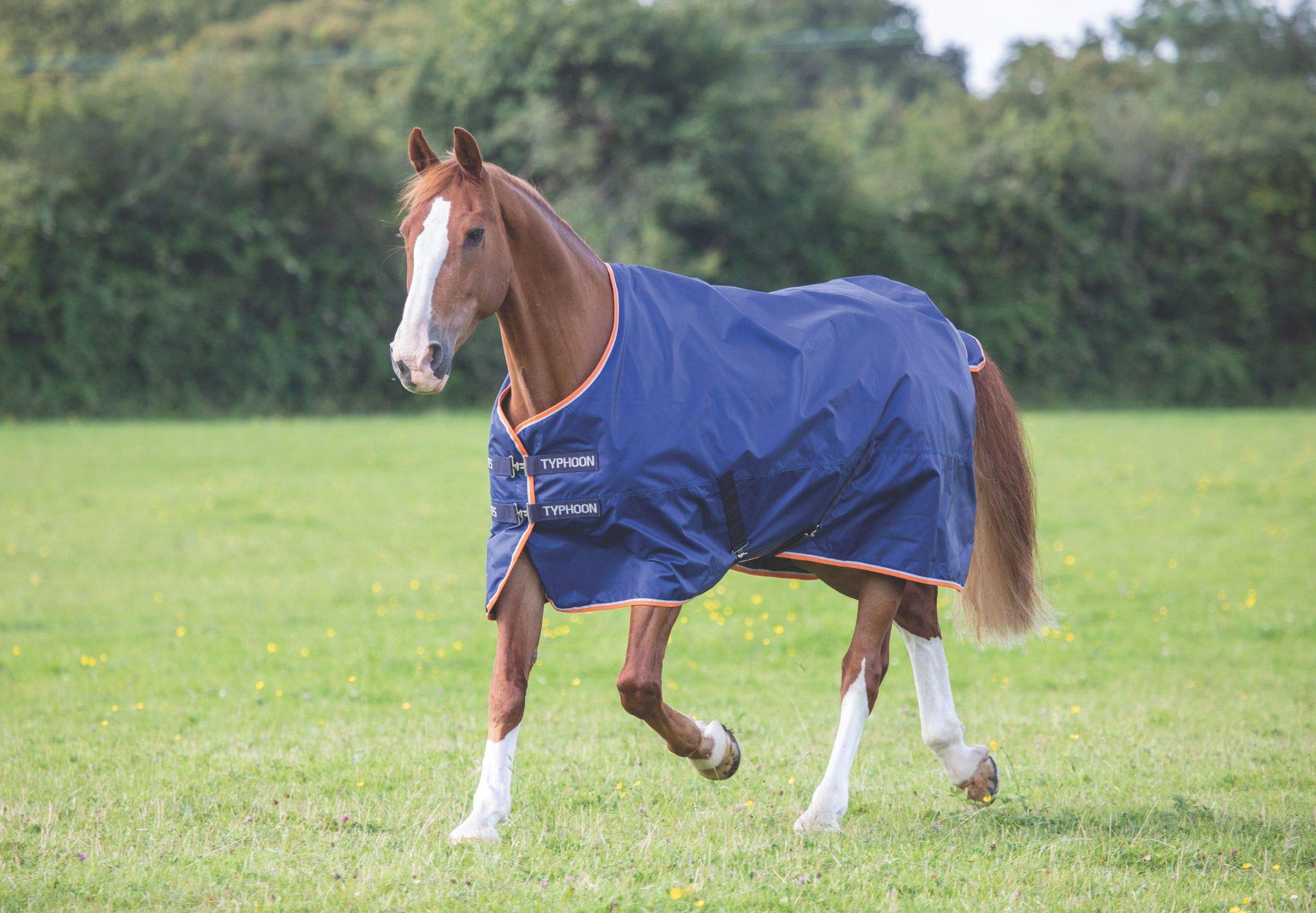 Shires Typhoon 100 Turnout Rug - Navy Blue