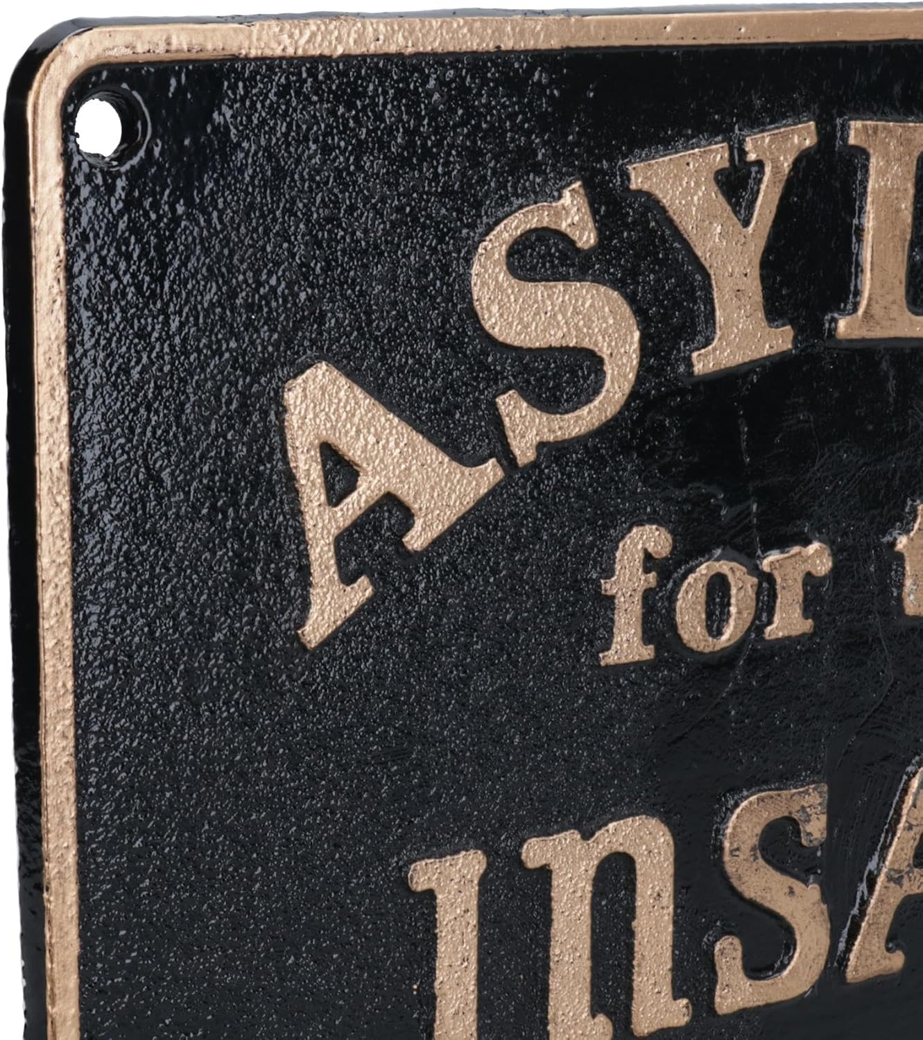 Asylum for The Insane Sign Plaque Cast Iron Door Mental Hospital House Garden