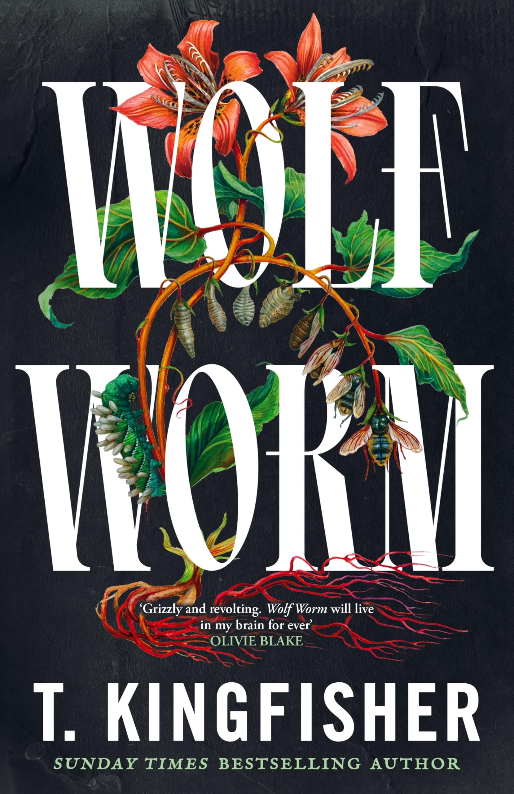Wolf Worm by T. Kingfisher HARDBACK 9781035052721