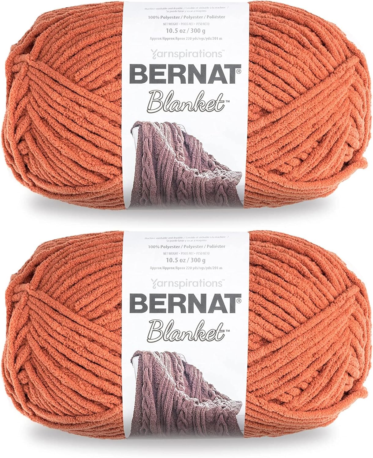 Bernat Blanket Big Ball Yarn (2-Pack) Pumpkin Spice 161110-10630