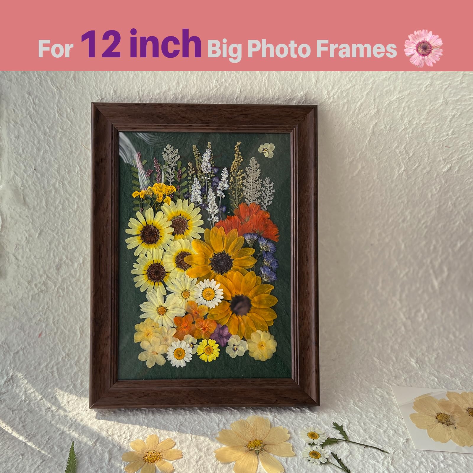 Große getrocknete gepresste Blumen für Harz, A4, Sonnenblume, echte trockene natürliche Blumen und Blätter für Harzformen, Kuchen, Kerzenherstellung, Handyhüllen, Scrapbooking, DIY