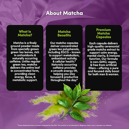 Miniatura 6 de Matcha 1000 mg - Suplemento de té verde en polvo para mujeres y hombres - Pastillas de té Matcha EGCG - Vegano, sin gluten, sin lácteos, sin OMG -