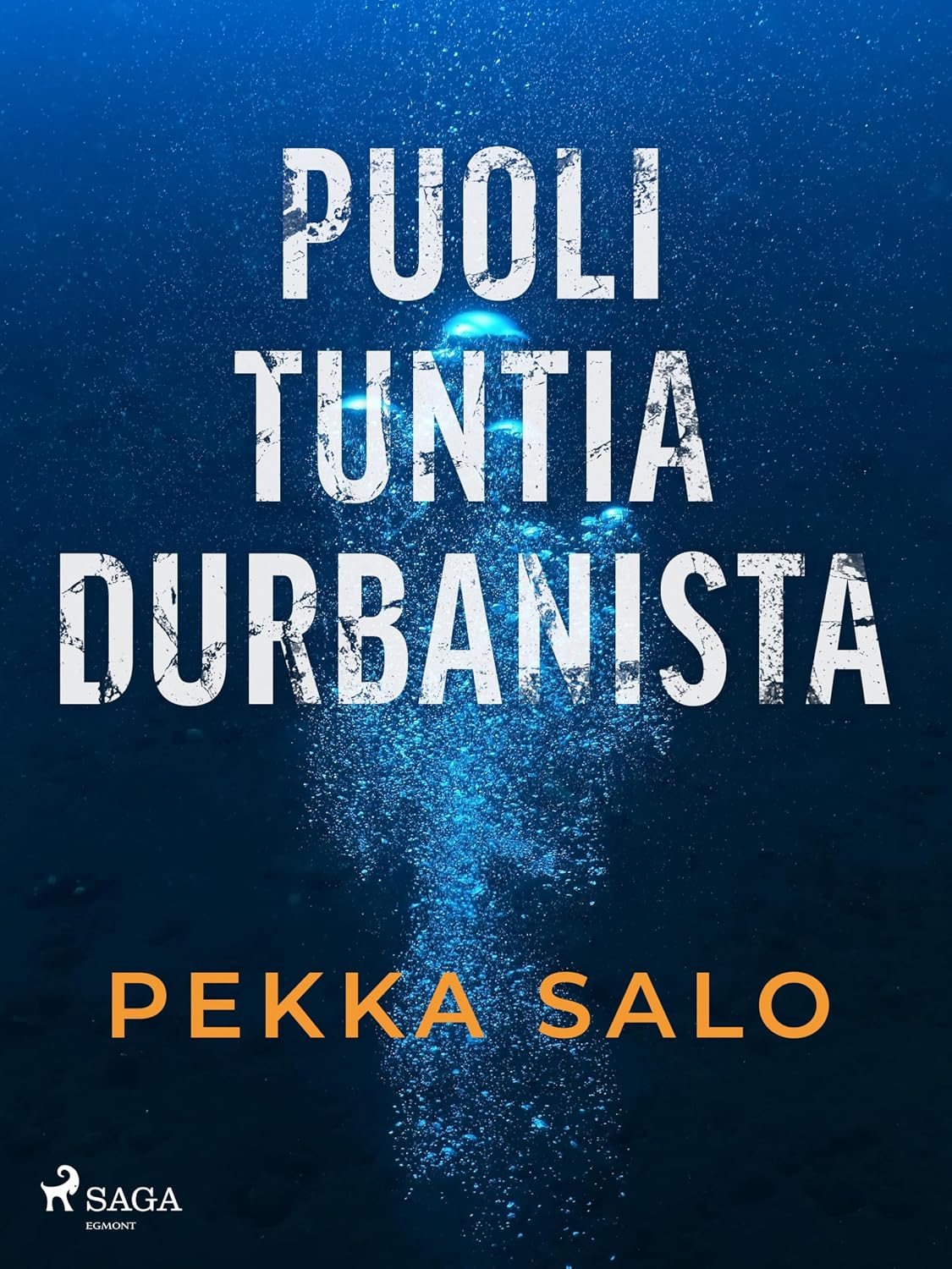 Puoli tuntia Durbanista (Finnish Edition)