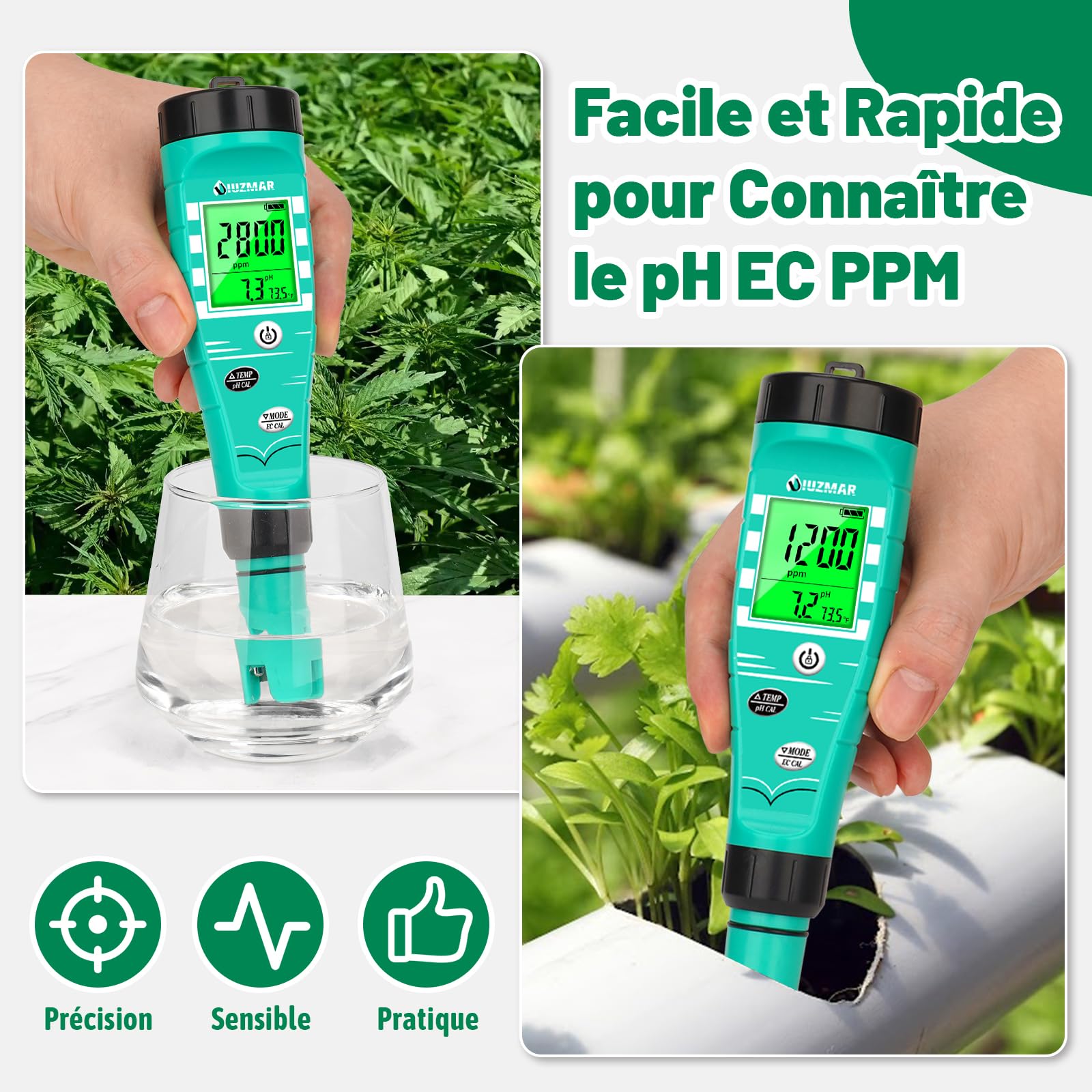 UIUZMAR pH Mètre for Hydroponics Moniteur EC pH Testeur pH PPM Pour Système Hydroponique Mesure Simultanee du pH EC TDS Temperature Pour Installation Dwc Réservoir Hydro, Jardin Aeroponique