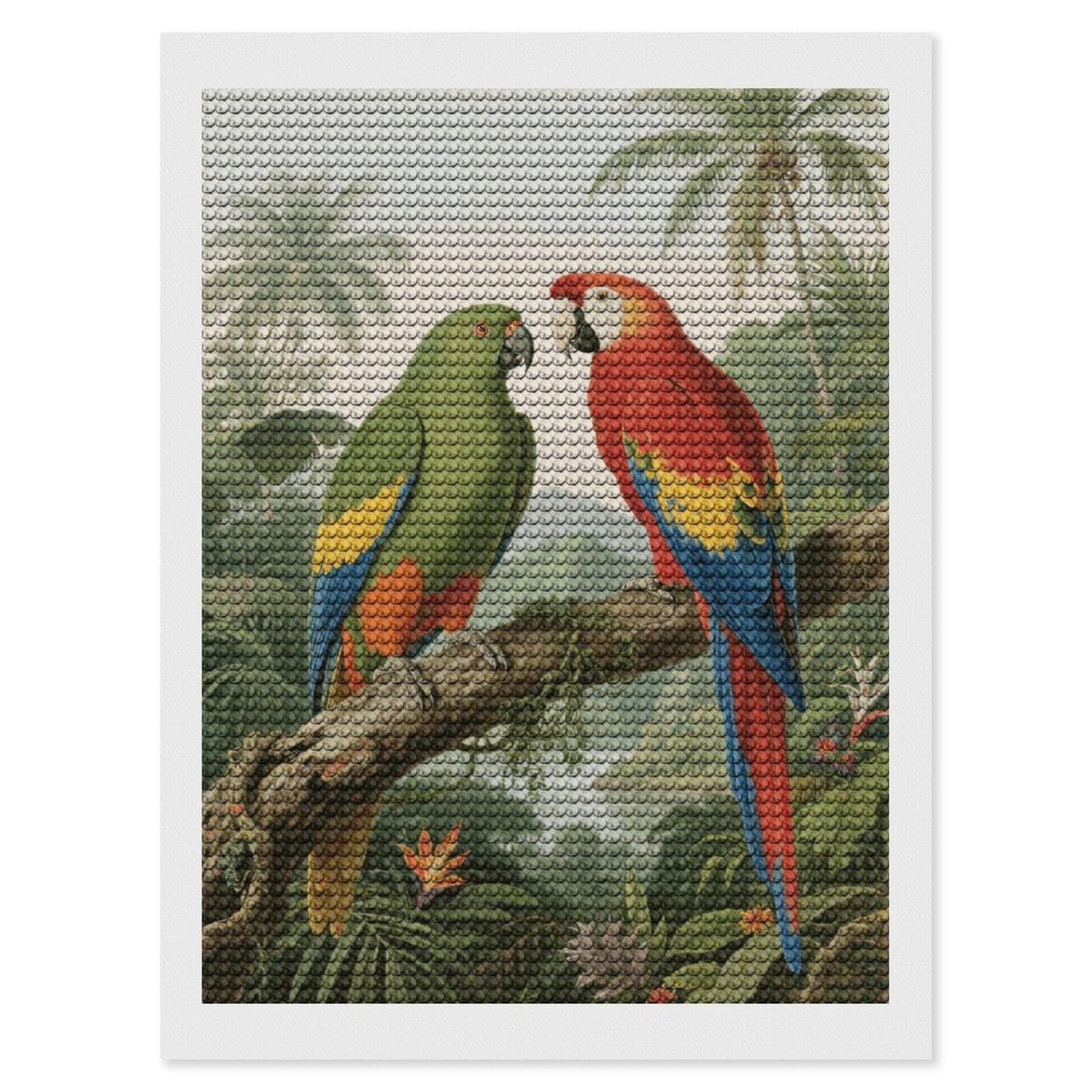 FodPand Parrot 5D Diamond Painting Kits for Adults Beginners Full Drill Round Diamond Dots Pictures Gem Art Supplies for Home Wall Room Decoration DIY Craft Set Gift 12x16