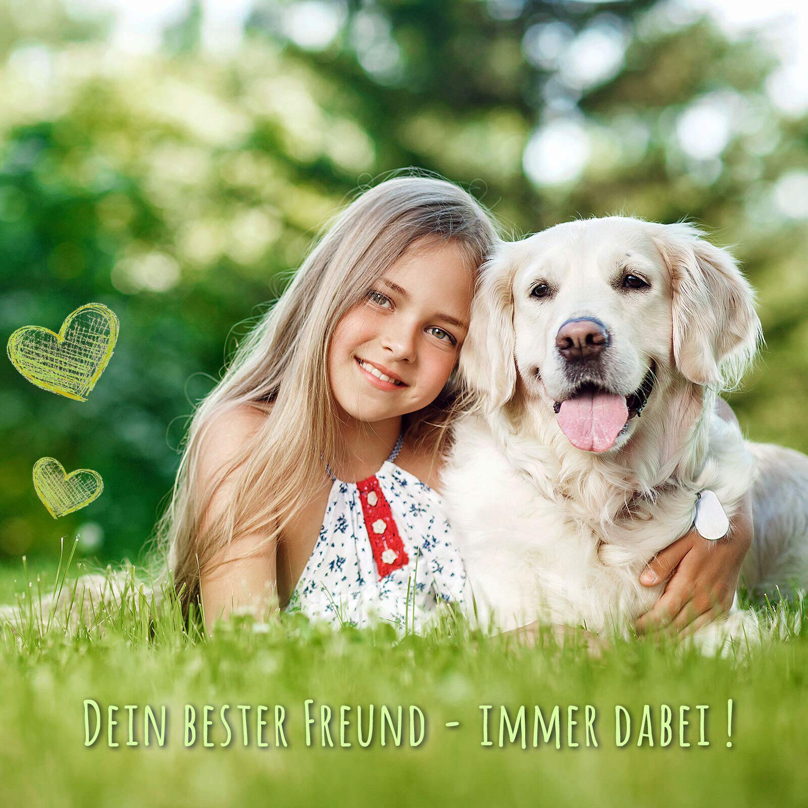 Hundehalsband aus Leder beige handgeschnitzt mit Premium-Kristallen L