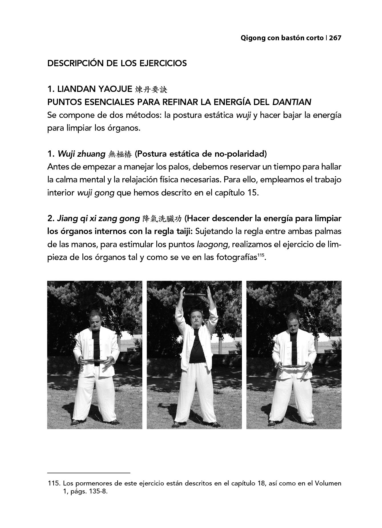 Curso de Qigong. Teoría y práctica (Volumen 2º) (MEDICINA ALTERNATIVA)