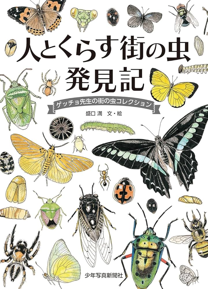 ゲッチョ先生のイモムシ探検記 人とくらす 街の虫 発見記: ゲッチョ先生の街の虫コレクション