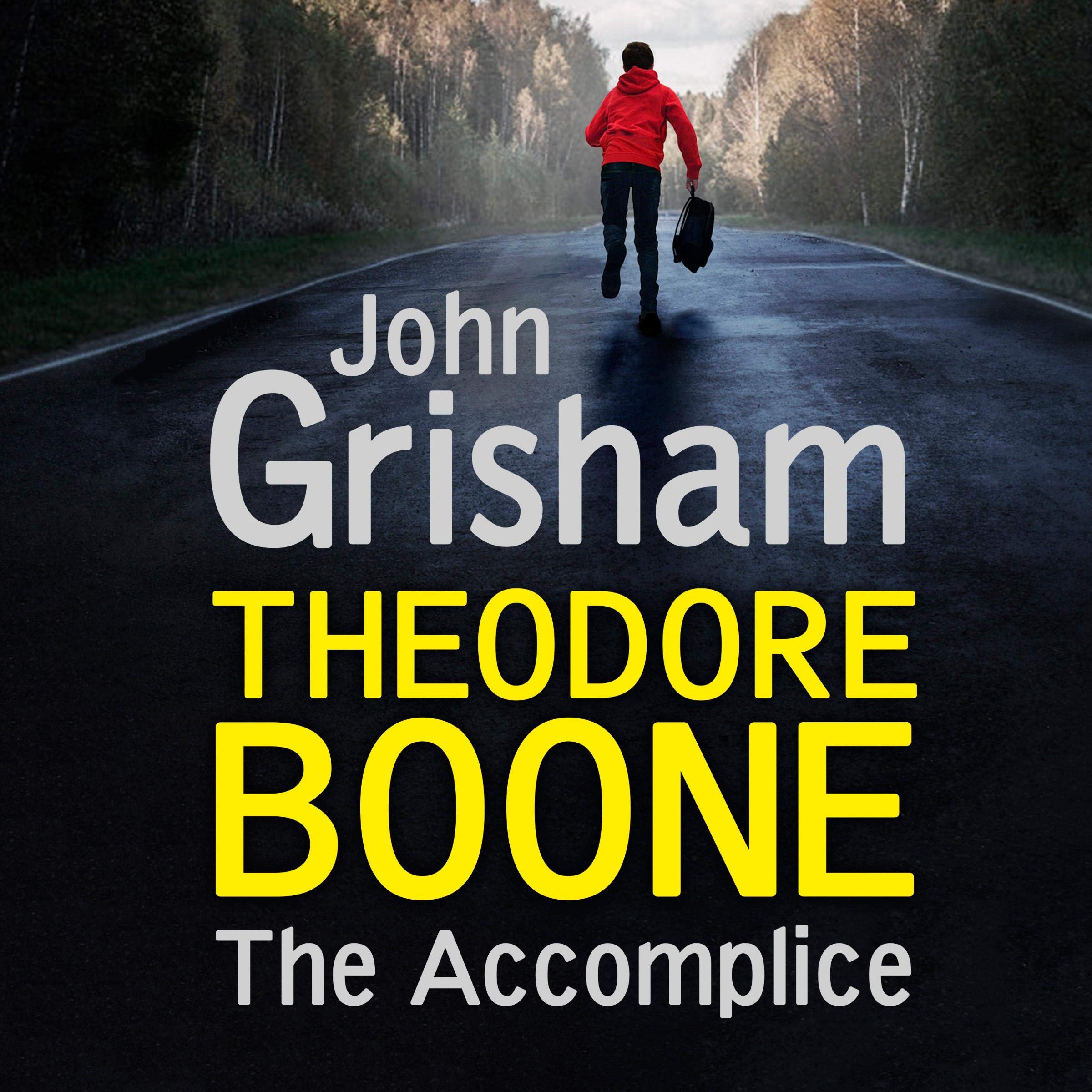 Cover art for Theodore Boone: The Accomplice
