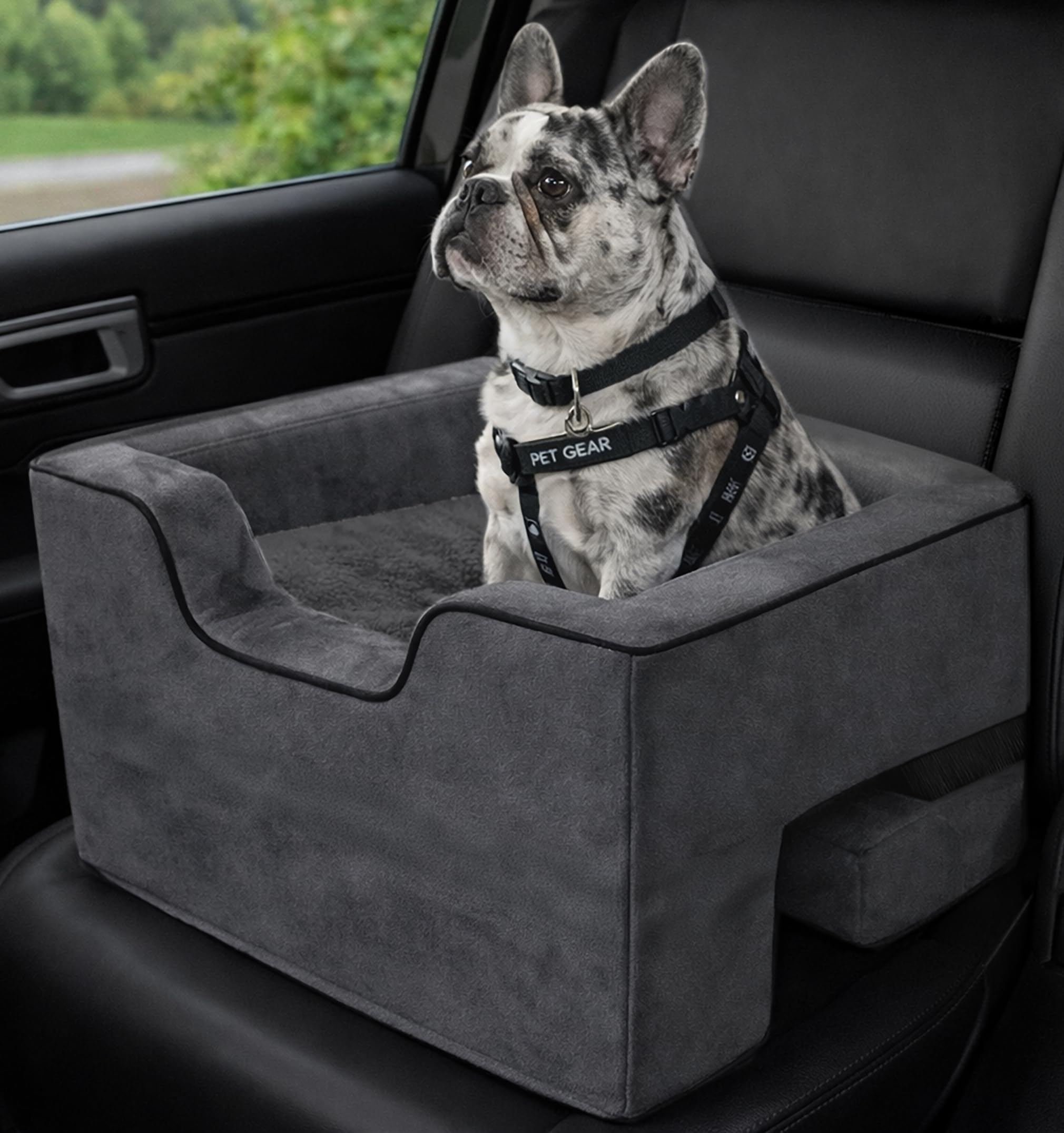 Pet Gear Lookout Booster Car Seat