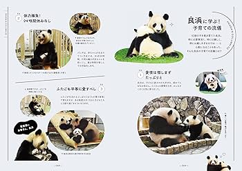 またね、尊いパンダたち。 旅に出たアドベンチャーワールドの浜家