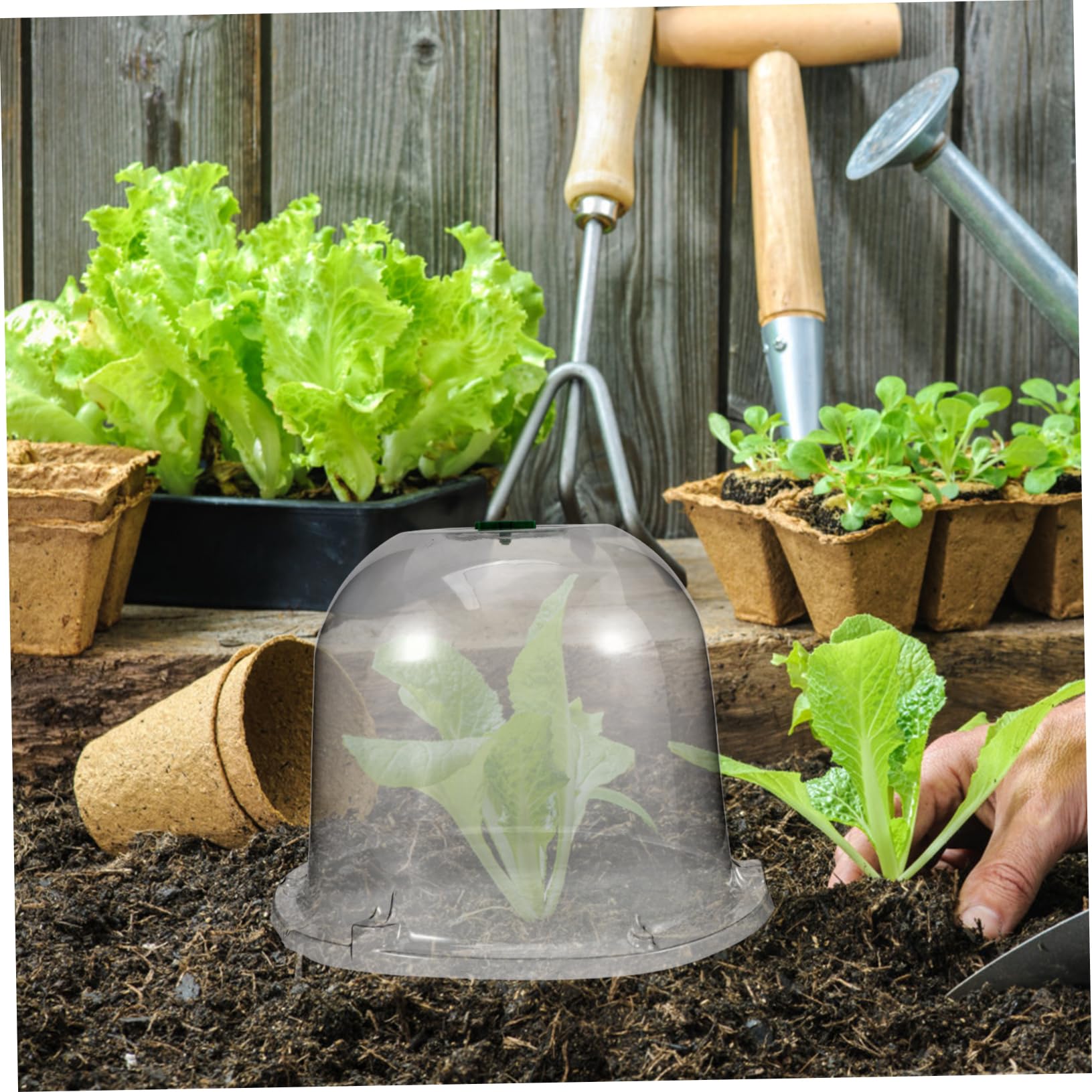 Cloches pour plantes de jardin – 12 couvercles de bocaux transparents en forme de cloche résistants aux intempéries – Protection pour plantes d'hiver – Protection contre le gel et le froid