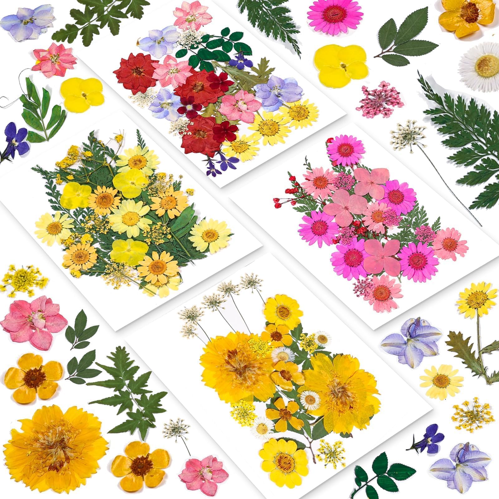 98 Pcs Dried Pressed Flowers Natural Pressed Wildflower for Crafts Nails Scrapbooking Resin and Candles Making, Small Dried Flowers and Green Leaf Fits for Holiday Decor