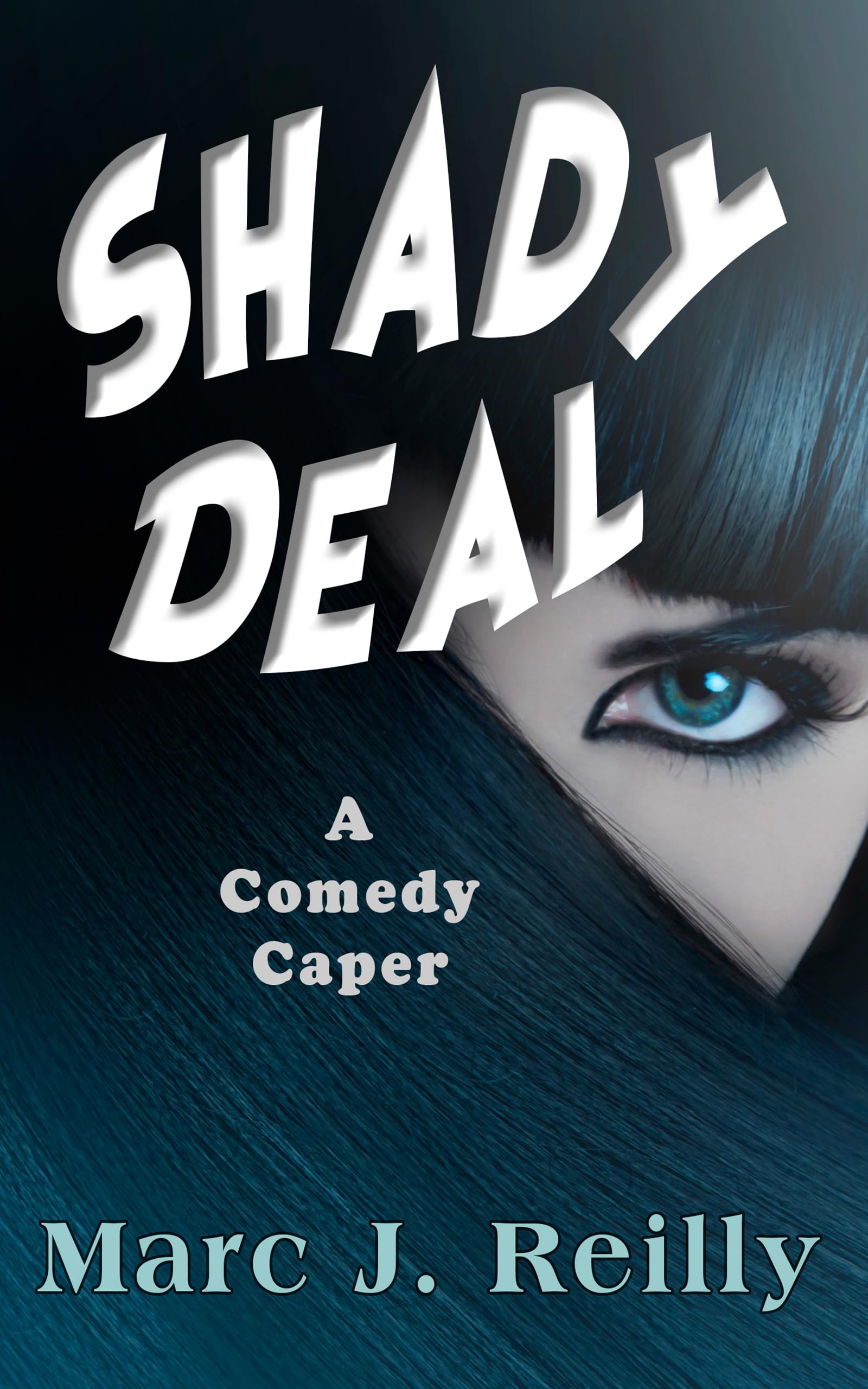 Shady Deal (The Tinman Series Book 2)
