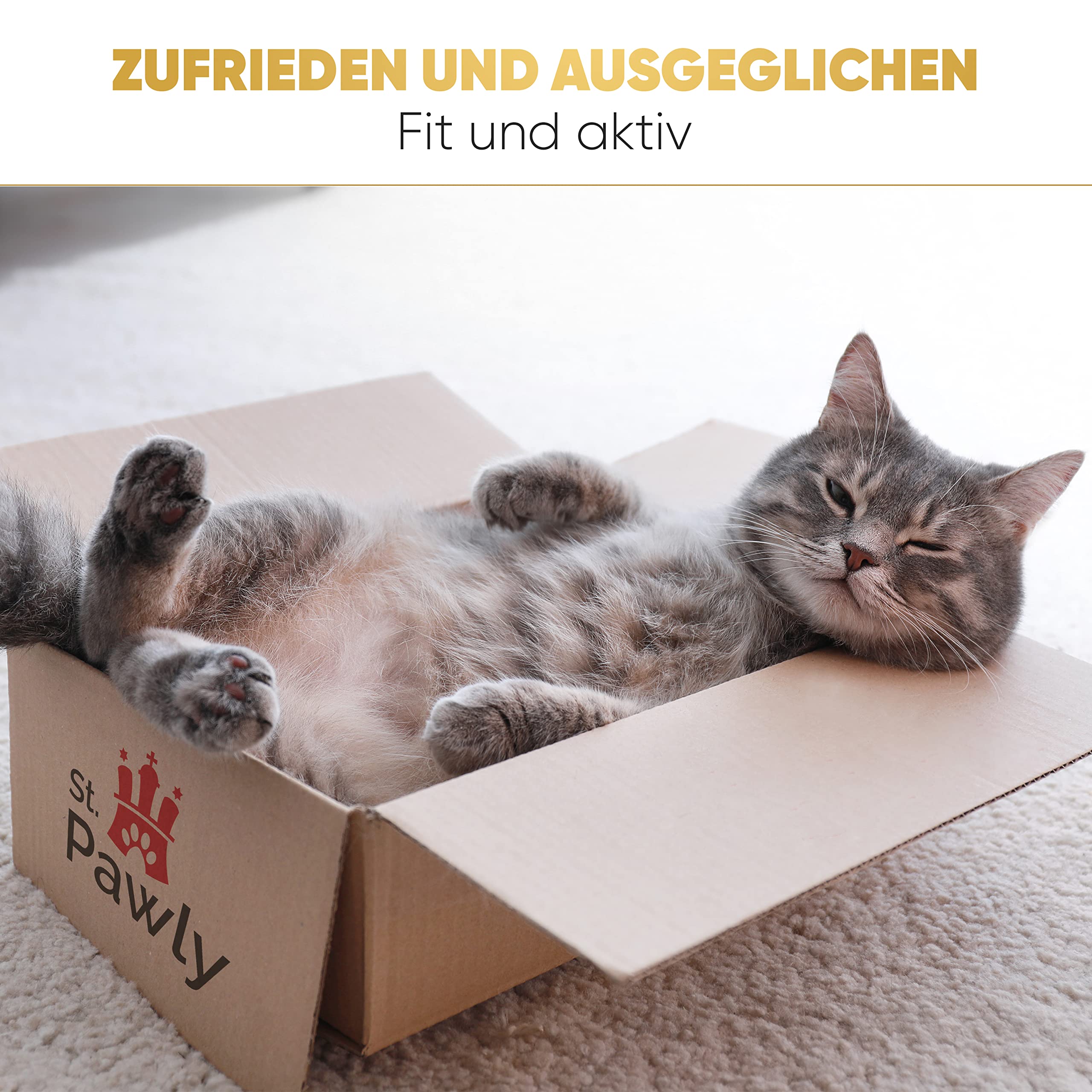 ST.PAWLY® Ersatzset für Katzenangel - Katzenspielzeug - austauschbare Anhänger - Ersatzbänder - nachhaltiges Spielzeug für Katzen - Federspielzeug für Katzen