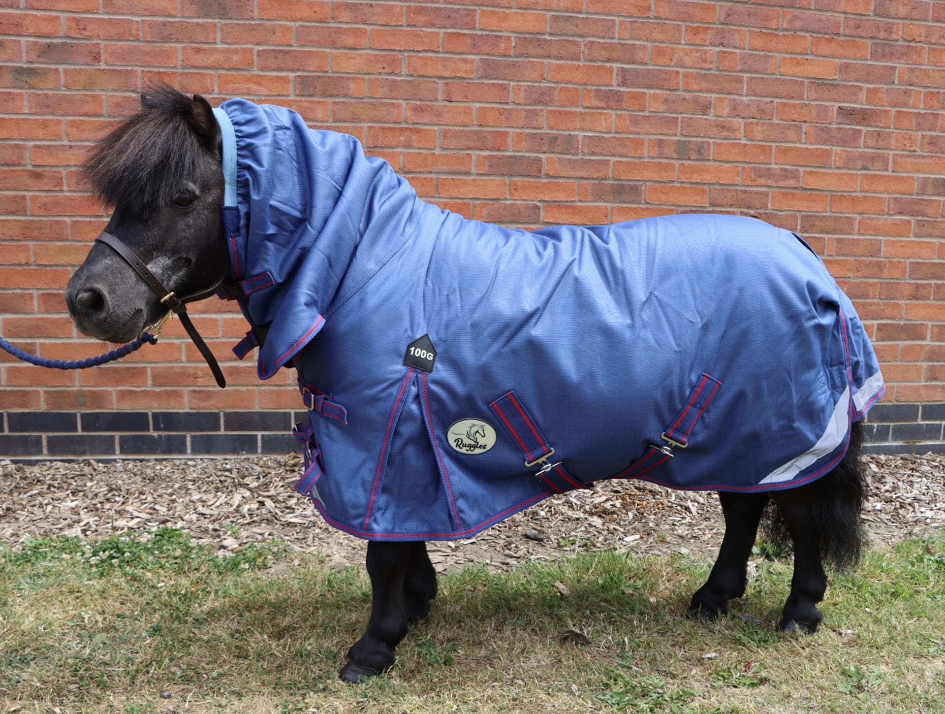 Ruggles Lightweight 100g Combo Turnout Rug for Shetland Section A Donkey Miniature Horse | Teflon Coated 1200D Outer Fabric | Perfect Protection from Wet and Windy Weather (Navy, 4' 3")