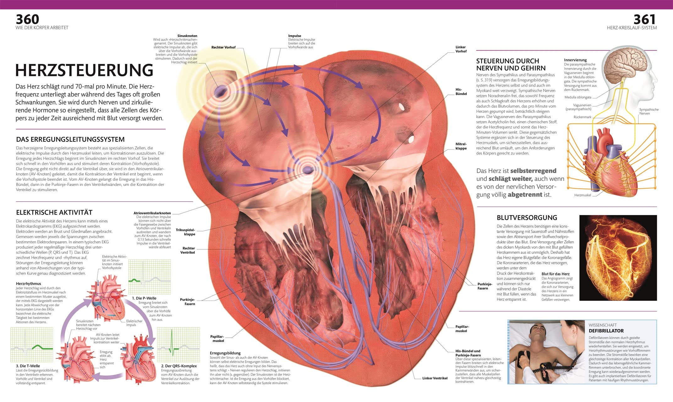 Anatomie und Physiologie: Die große Bild-Enzyklopädie mit über 2000 Abbildungen