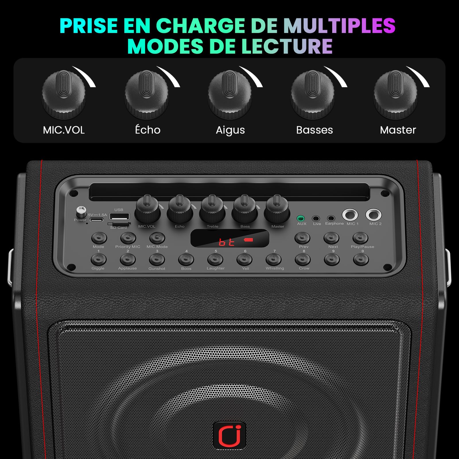 HWWR Machine Karaoke avec 2 Micros sans Fil, Kit karaoké Complet avec LED, 300W Puissance, Autonomie 36h, pour Adulte et Enfants, Système PA Prend en Charge TF/USB, FM, Enregistrement, AUX in et TWS