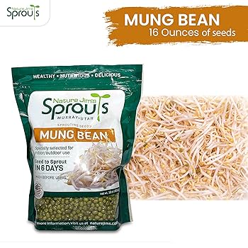 Handy Pantry Organic Mung Bean Sprouting Seeds, 16 Oz - Fred Meyer