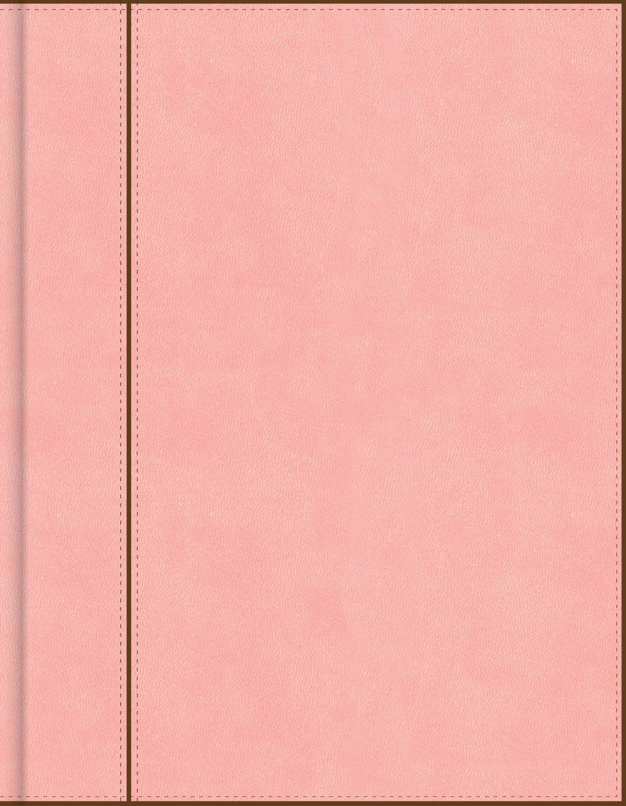 CSB Notetaking Bible, Pink LeatherTouch