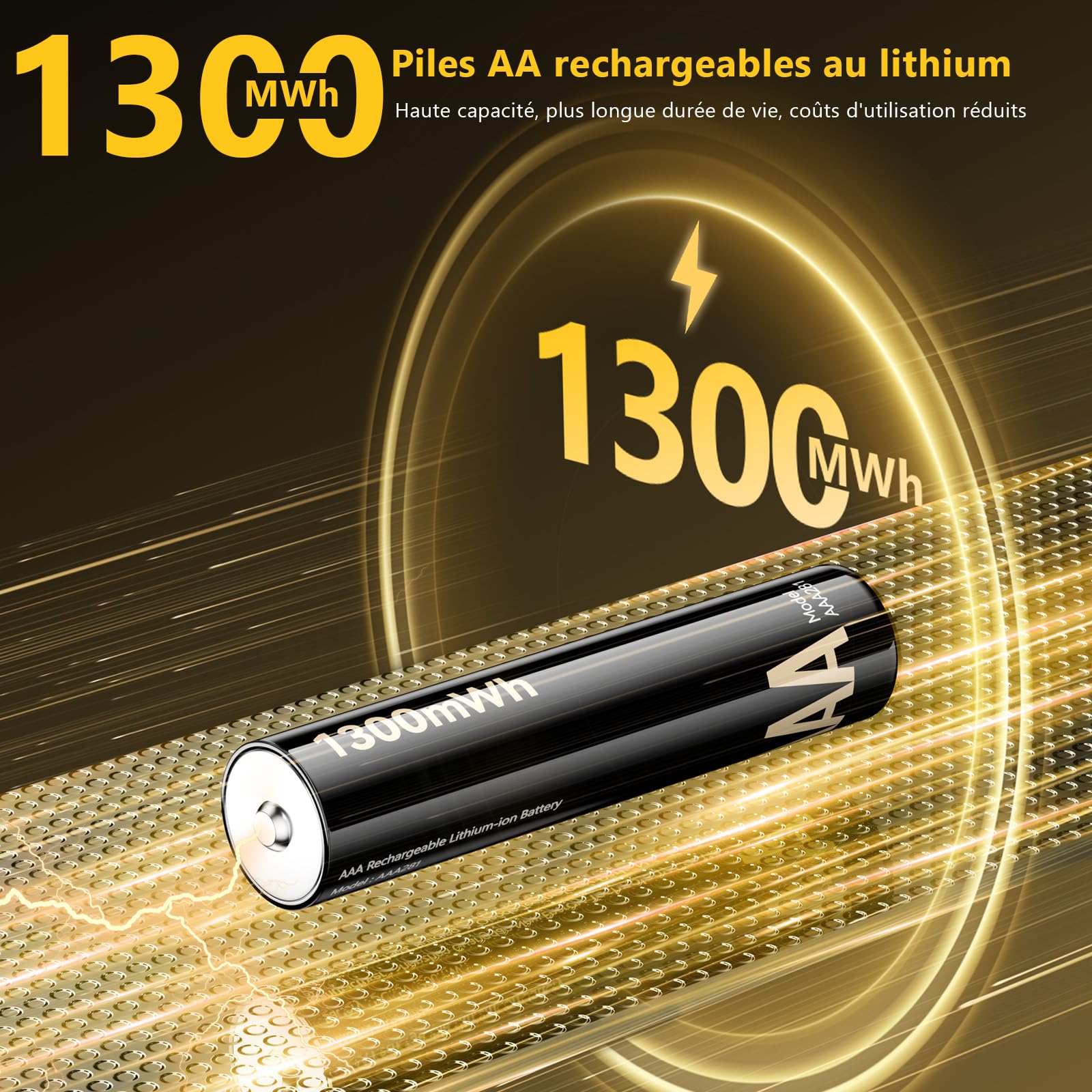 Piles au Lithium Rechargeables avec Chargeur (4 piles AA + 4 piles AAA), Organisateur de batterie, 3700 mWh Haute Capacité - 2500 Cycles Longue Durée - Chargeur Rapide Inclus