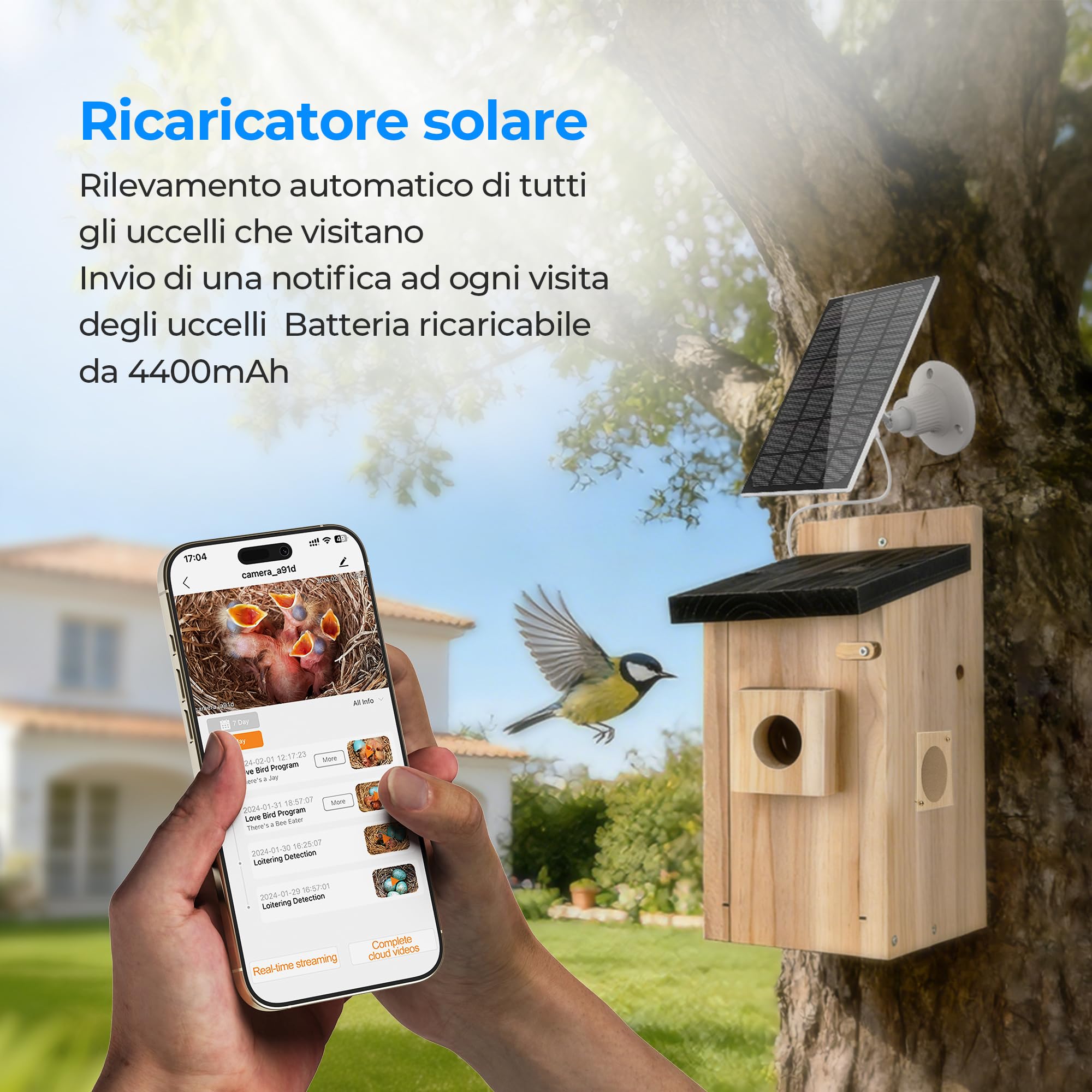 Casetta per Uccelli con Videocamera - Nido per Uccelli con Telecamera 4MP, Osservazione Nidificazione in Diretta, Alimentazione Solare, Impermeabile IP65, Kit Fai da Te