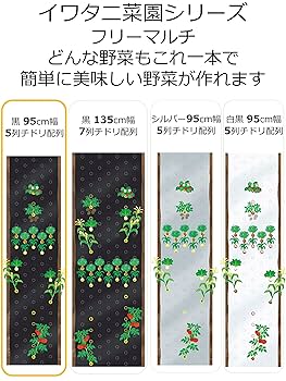 岩谷マテリアル 菜園メタリック黒マルチ 0.02x950x50m 岩谷マテリアル 被覆資材