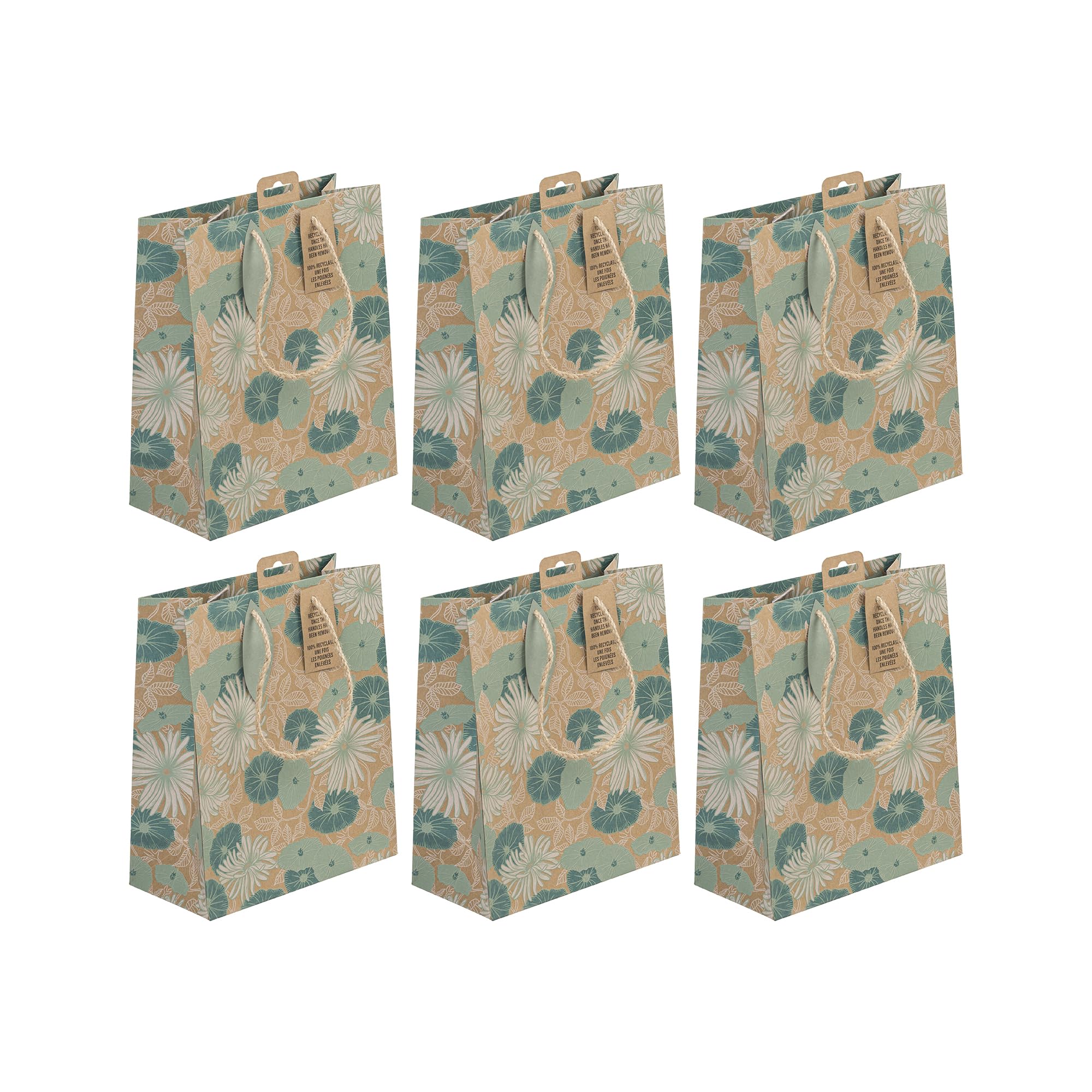 Eurowrap 223926-3C - My Garden, Kraft, sac Moyen 21,5x10,2x25,3 cm - PAQ DE 6