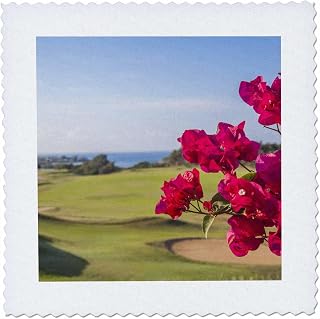 8x8 inch Quilt Square - La Romana Casa de Campo Golf Course in Punta Cana, Dominican Republic Flower