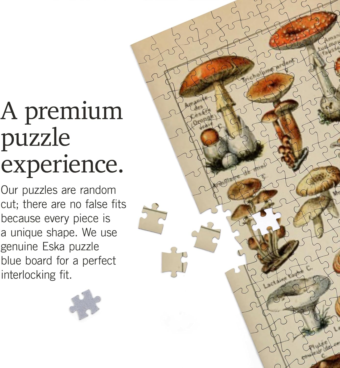 Mushrooms, C, Vintage Bookplate, Adolphe Millot Artwork (1000 Piece Puzzle, Challenging Jigsaw Puzzle for Adults, Made in USA)