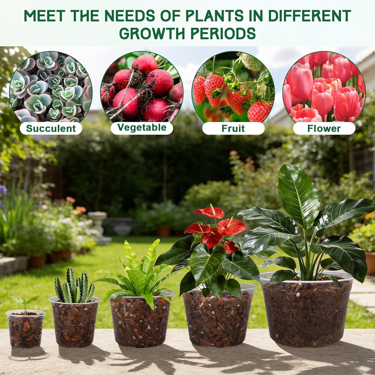 35 Pack 4/6/8/10/12 Inch Clear Nursery Pots with Drainage Hole Clear Plastic Pots for Plants Transparent Variety Seedling Planter for Vegetable Flowers Fruits